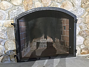Fireplace screen insert